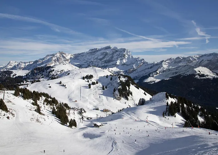 Richemont 8c By Interhome Lejlighed