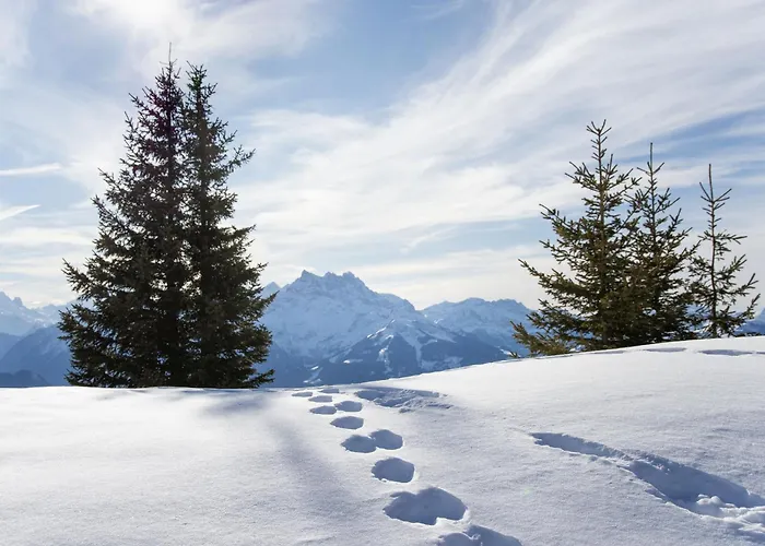 Richemont 8c By Interhome Lejlighed *